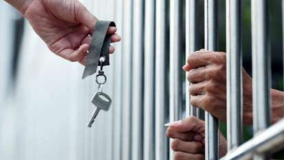 Амністія під час війни