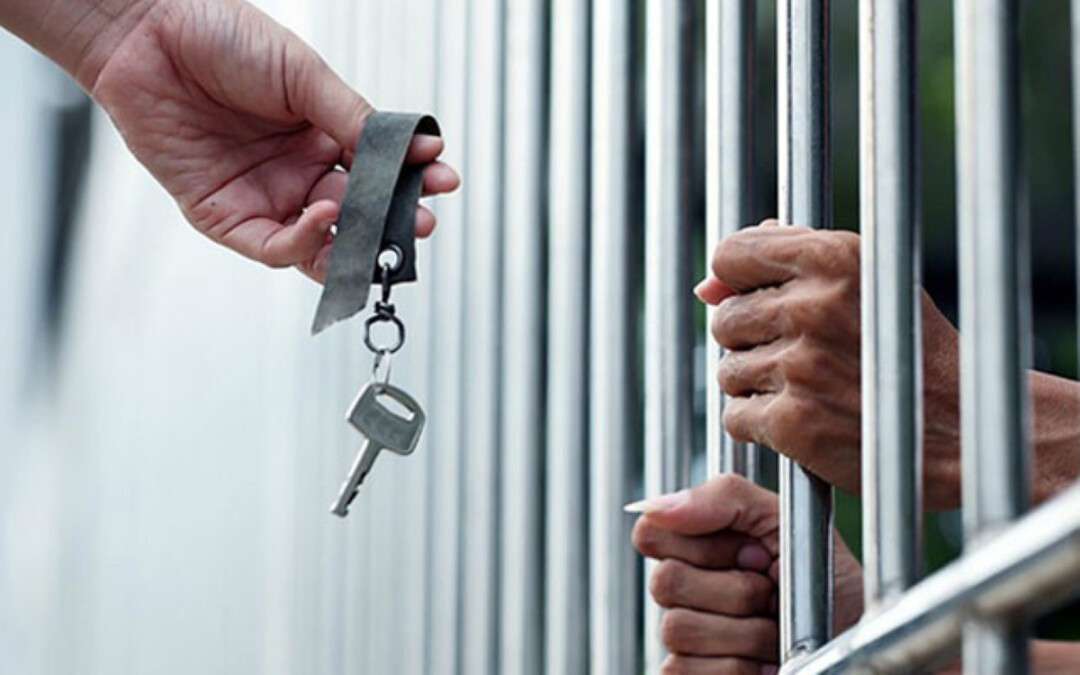 Амнистия во время войны