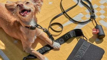 IMAGE 2026-04-27 15:52:02