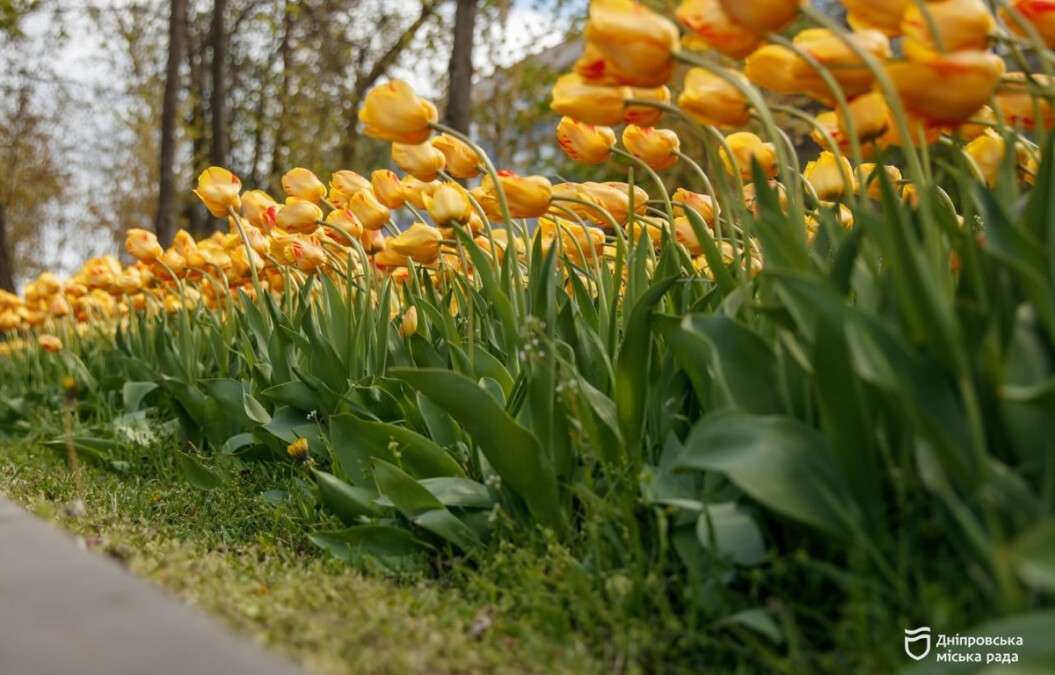 Погода в Дніпрі квітень