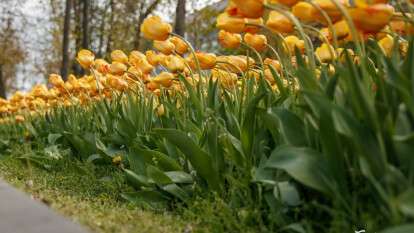 Погода в Дніпрі квітень