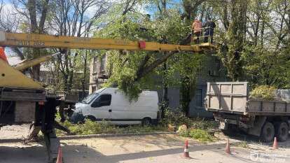 Буря в Днепре: коммунальщики ликвидируют последствия непогоды