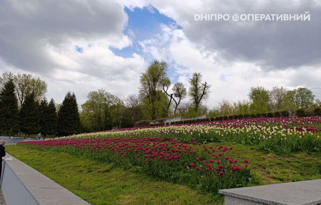 Погода в Днепре май