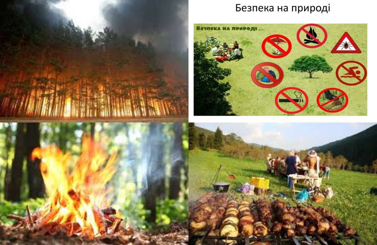 Штрафи за порушення правил безпеки на природі в Україні: що чекає на порушників у 2026 році
Відпочинок поза містом може обернутися для українців значними фінансовими санкціями. Через посилення екологічного контролю та дію воєнного стану суми стягнен