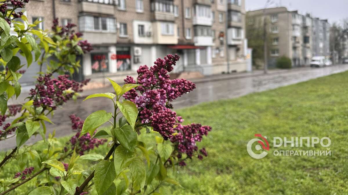 Погода в Днепре весна дождь