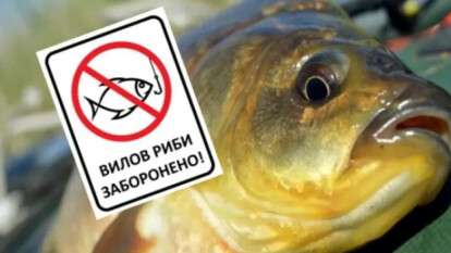 Нерестовый запрет на Днепре