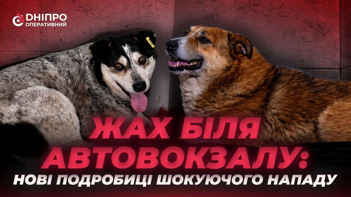 Жорстоке каліцтво собак у Дніпрі біля автовокзалу: у якому стані тварини та що загрожує живодеру
Нещодавно у Дніпрі біля центрального автовокзалу перехожі виявили двох собак із важкими ножовими пораненнями. Одна тварина, на ім’я Малюк, лежала…