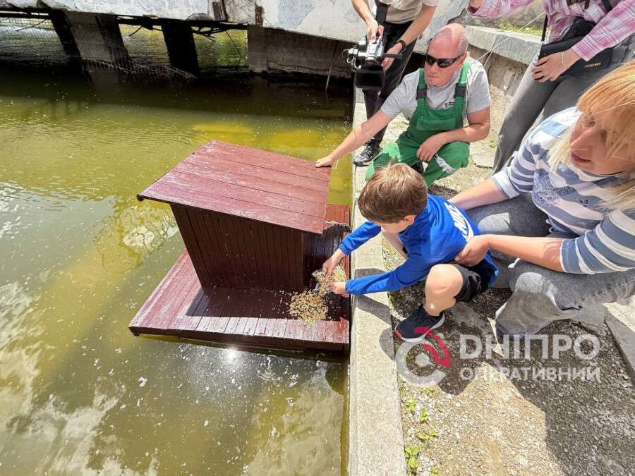 Будиночки для качок у парку Глоби