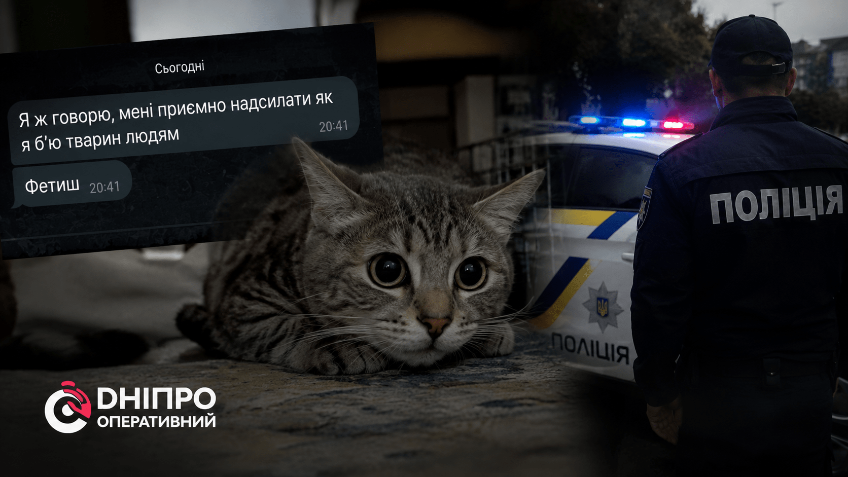 Дівчина з Павлограда знущається з тварин і тероризує цими відео знайомих
Жителька Павлограда, яка раніше вже потрапляла в поле зору поліції, знову знущається зі свого кота та ділиться цими відео зі…