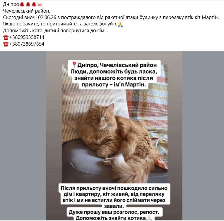 История спасения кота Мартина в Днепре: четверо суток среди руин