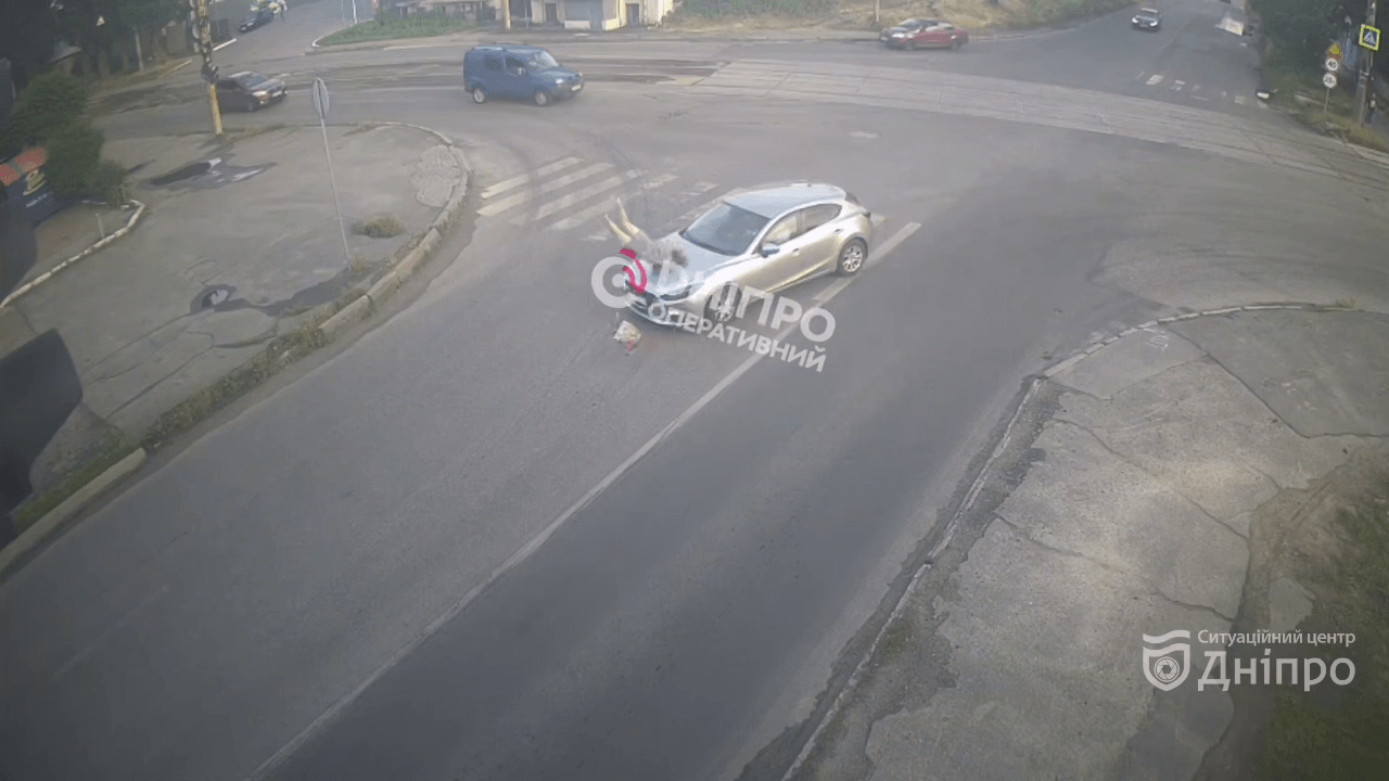 У Дніпрі на Павлова збили жінку: відео моменту жахливої ДТП
Минулого вечора у Дніпрі на перехресті вулиць Павлова та Академіка Белелюбського сталася аварія за участю пішохода. Про це повідомляє "Дніпро…