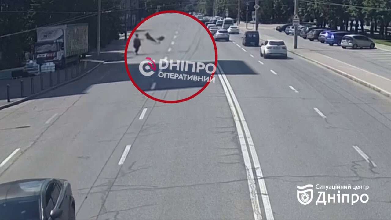 На Січеславській Набережній в Дніпрі пішохід паралізував рух авто: відео
У вівторок, 16 червня, на Січеславській Набережній мало не утворився значний затор через пішохода. Момент курйозної ситуації зафіксували камери Ситуаційного…