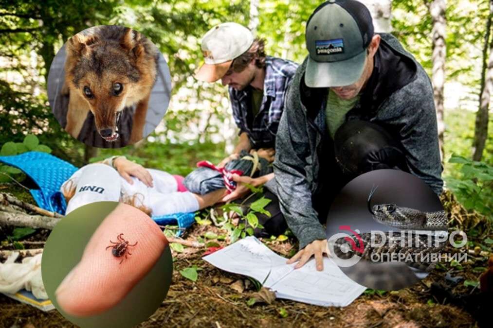 Яяк надати першу допомогу на відпочинку