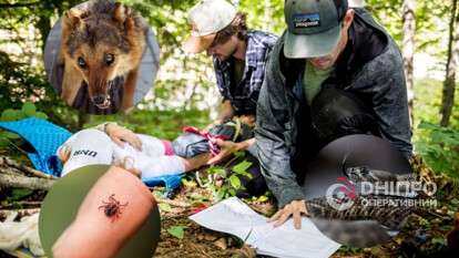 Как оказать первую помощь на отдыхе
