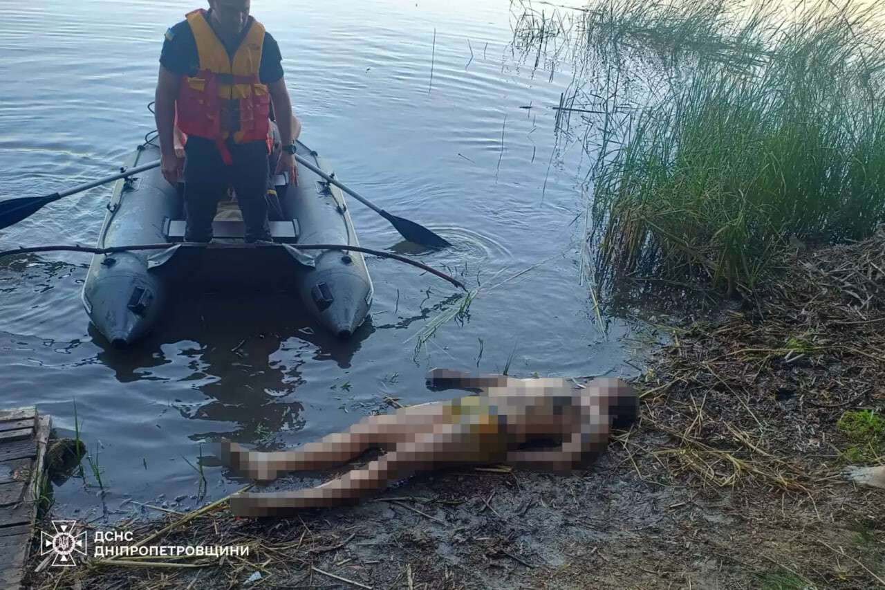 Труп обнаружили в пруду на Днепропетровщине