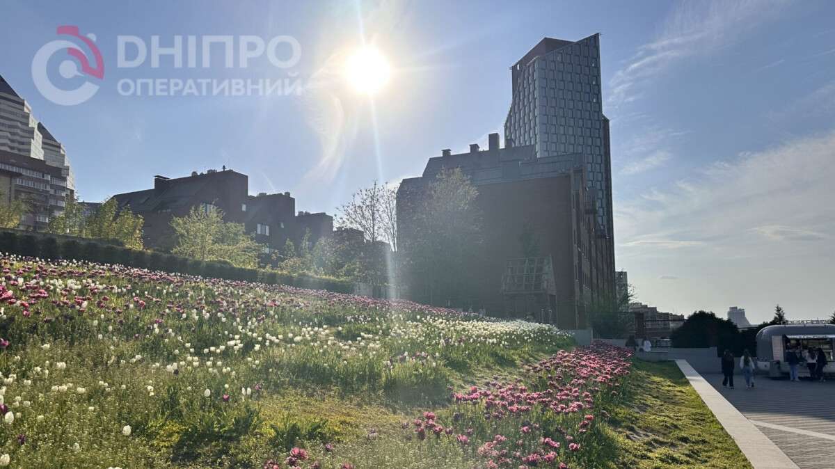 Погода в Днепре лето