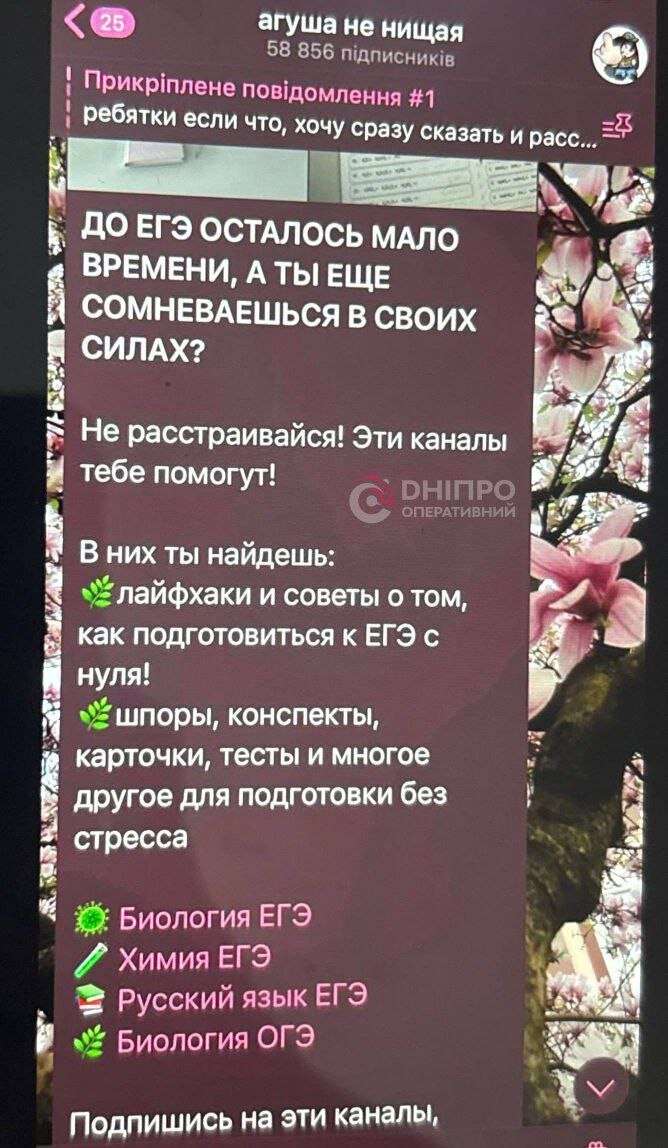 Юные блогеры из Днепра попали в скандал из-за рекламы российских ресурсов и розыгрышей с выплатами в рублях