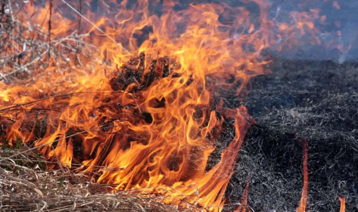 Ответственность за сжигание сухой травы