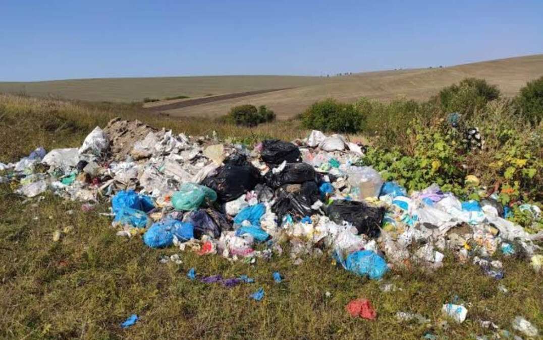 Незаконне вивезення сміття у лісосмуги
