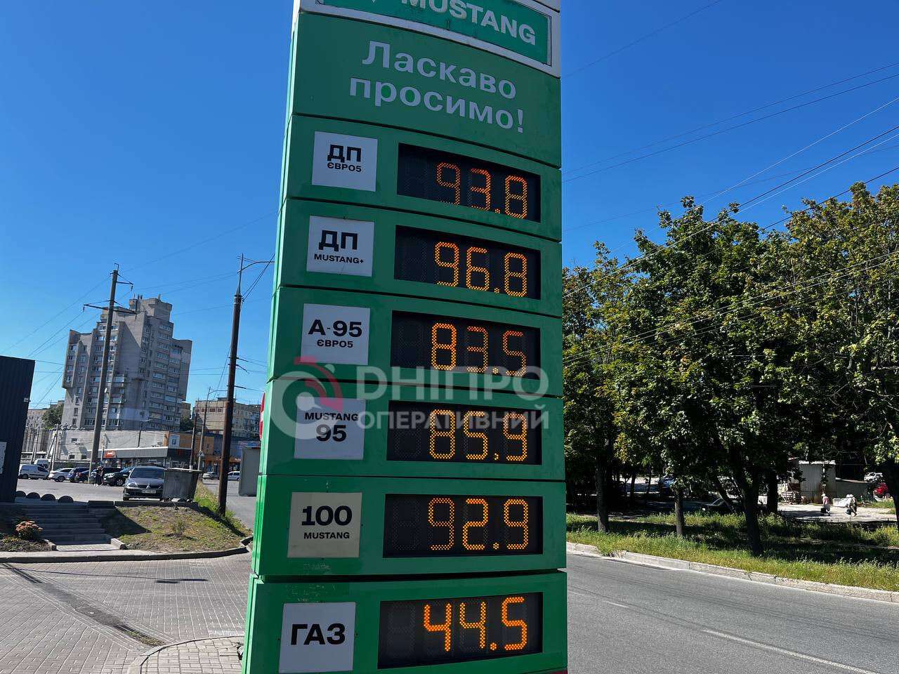 Ціни на пальне 12 серпня: скільки коштує бензин, дизель та газ