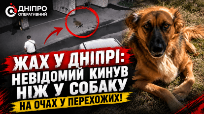На ж/м Ломівський у Дніпрі чоловік кинув ніж у собаку: подробиці інциденту та реакція поліції