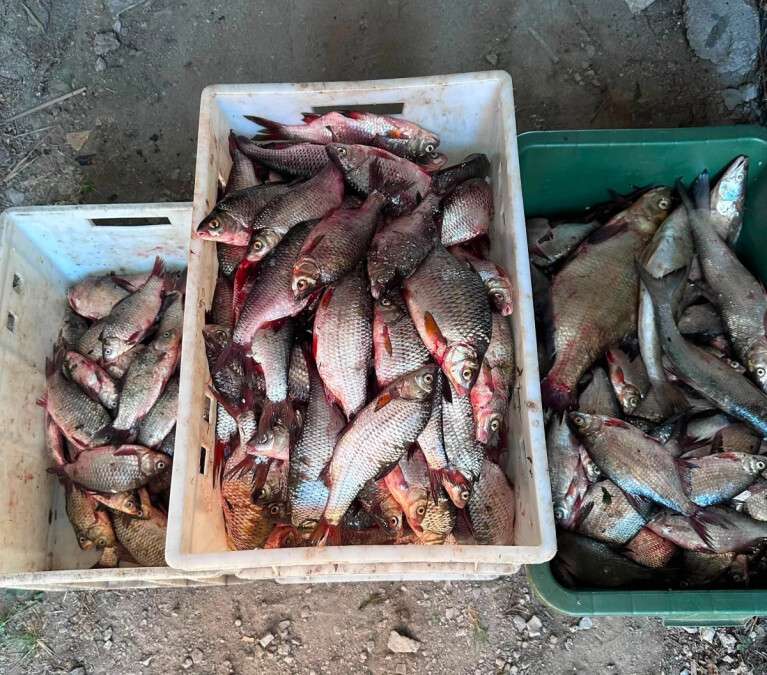 Спіймали браконьєрів у Дніпрі