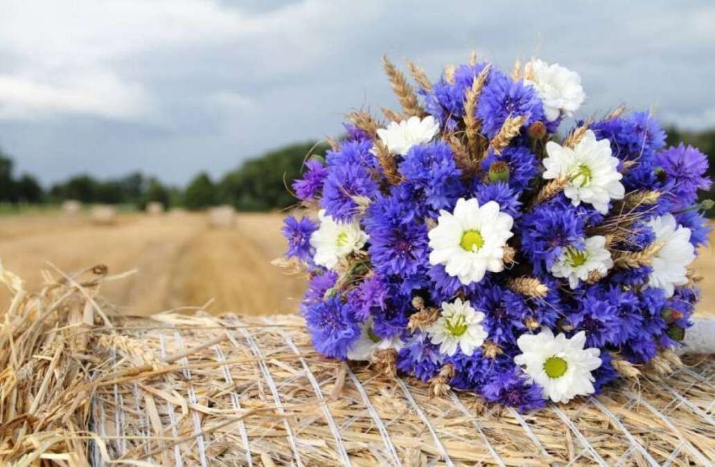 Погода в августе в Днепре