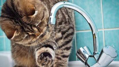 Де у Дніпрі 5 вересня масштабно відключать воду
