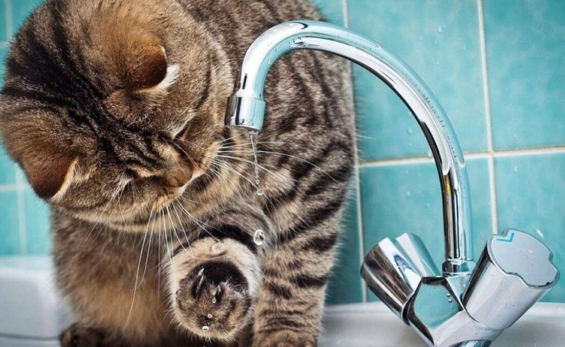 Где в Днепре 5 сентября масштабно отключат воду