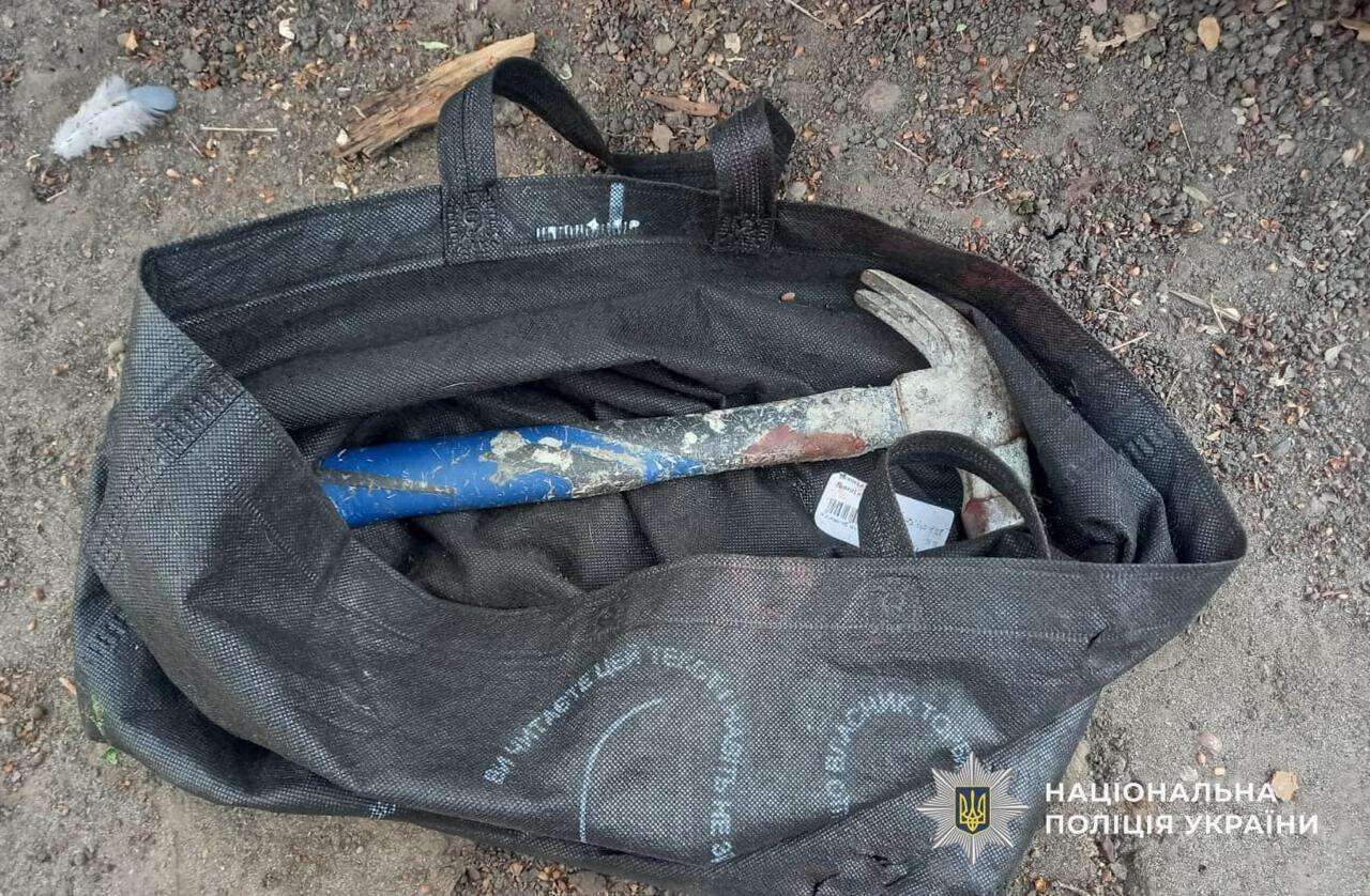 Суд виніс вирок за жорстокий напад на літню жінку: побили молотком заради 343 гривень