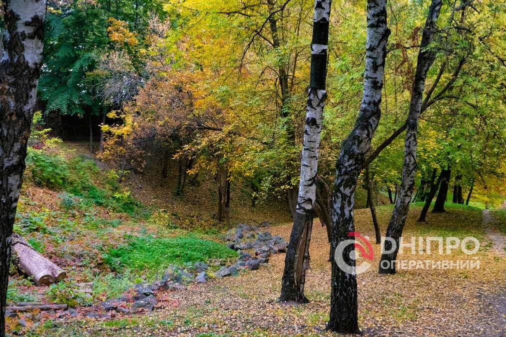 Погода в Днепре октябрь