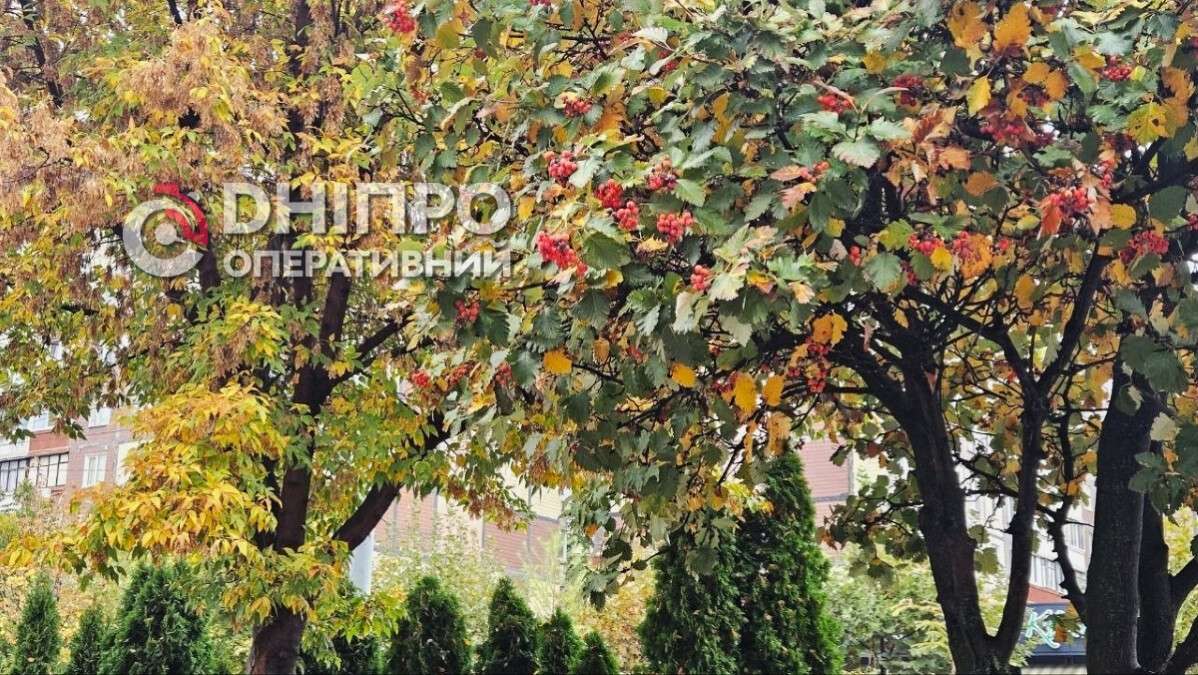 Погода в Дніпрі 15 жовтня 2026