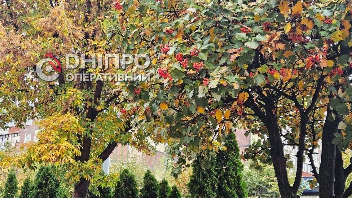 Прогноз погоди у Дніпрі на сьогодні, 15 жовтня 2026
У четвер, 15 жовтня, у Дніпрі небо протягом усього дня буде затягнуте хмарами, а сильний дощ триватиме від ранку до…