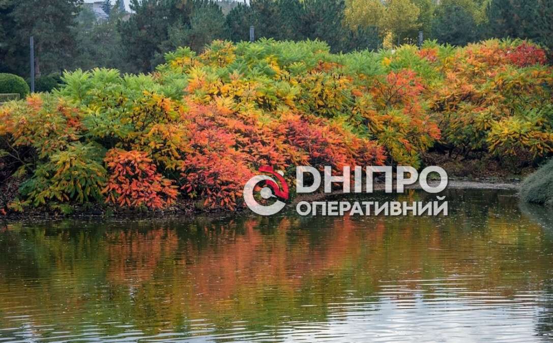 Погода в Днепре 21 октября 2026