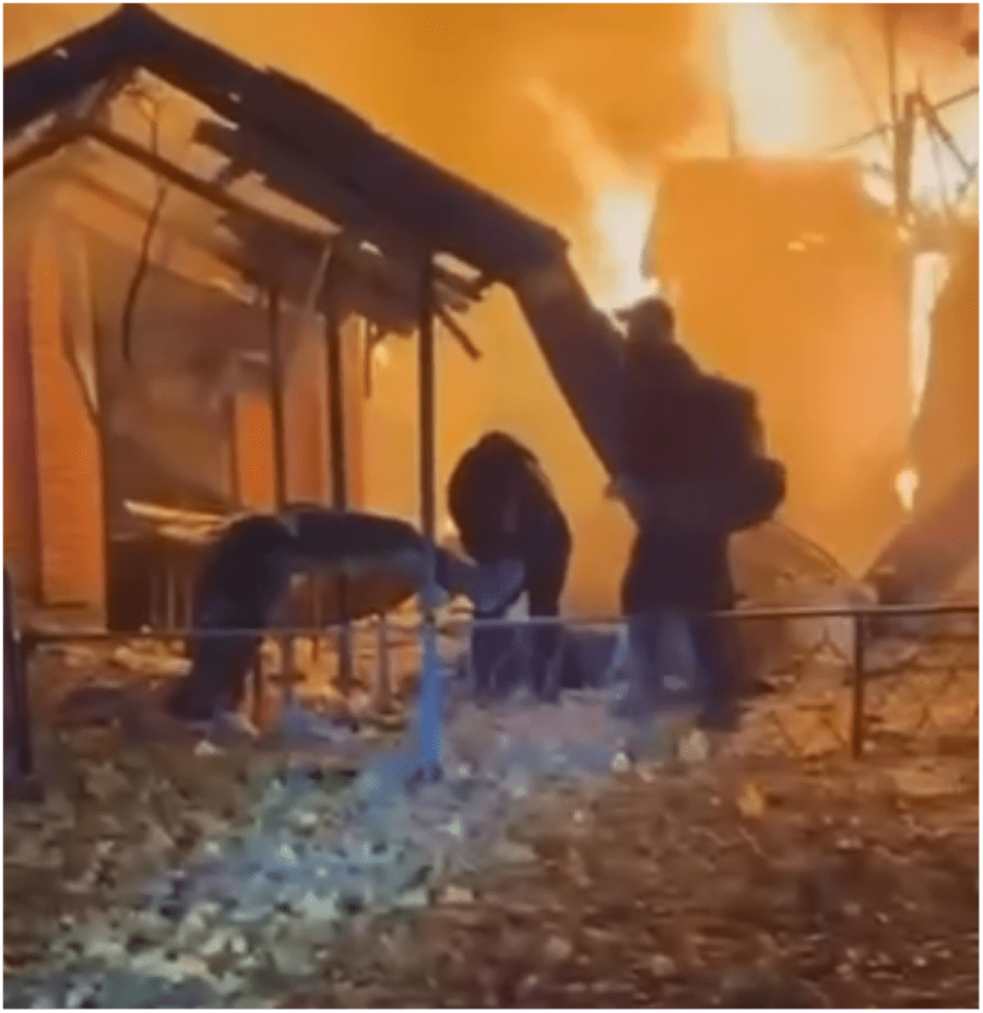 Знімок екрана 2026-10-24 201146