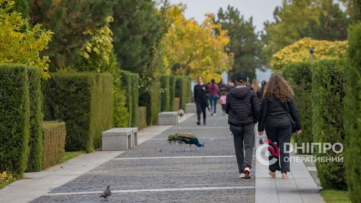 Погода в Днепре октябрь
