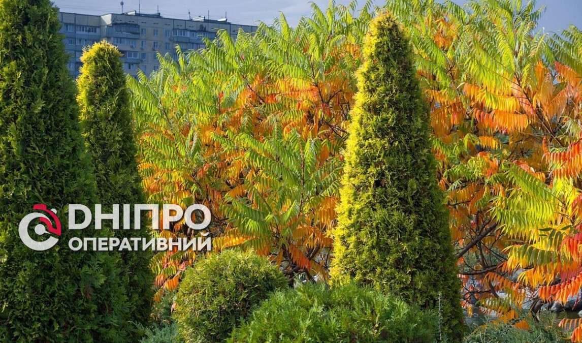 Прогноз погоди у Дніпрі на сьогодні, 31 жовтня 2026