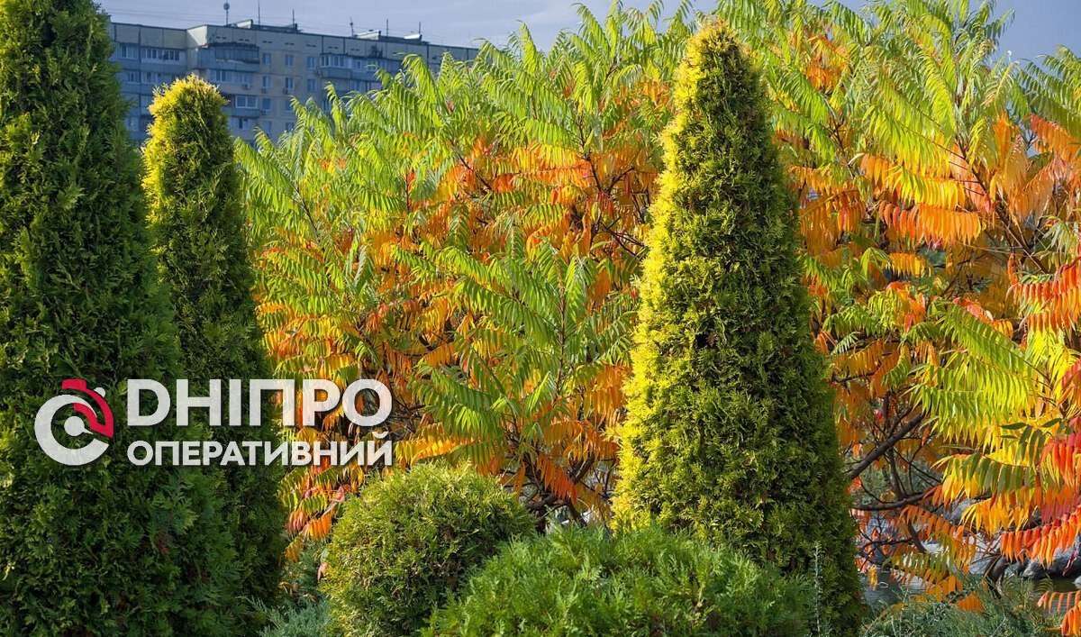 Прогноз погоди у Дніпрі на сьогодні, 31 жовтня 2026
У суботу, 31 жовтня, у Дніпрі протягом усього дня буде похмуро, а дощ не припинятиметься: удень він посилиться, ближче до…