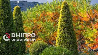 Прогноз погоди у Дніпрі на сьогодні, 31 жовтня 2026